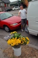 MR013_thumb.jpg