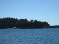 IMG_0316_thumb.jpg